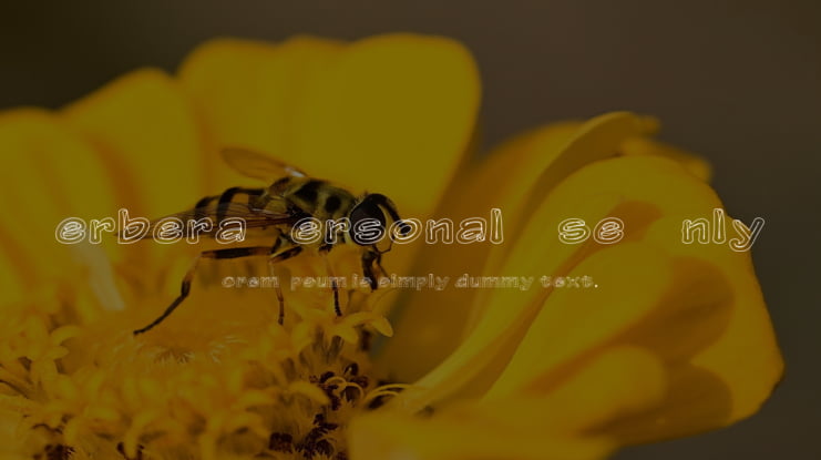 Gerbera Personal Use Only Font