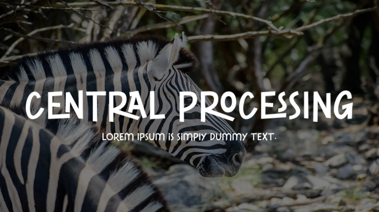 CENTRAL PROCESSING Font