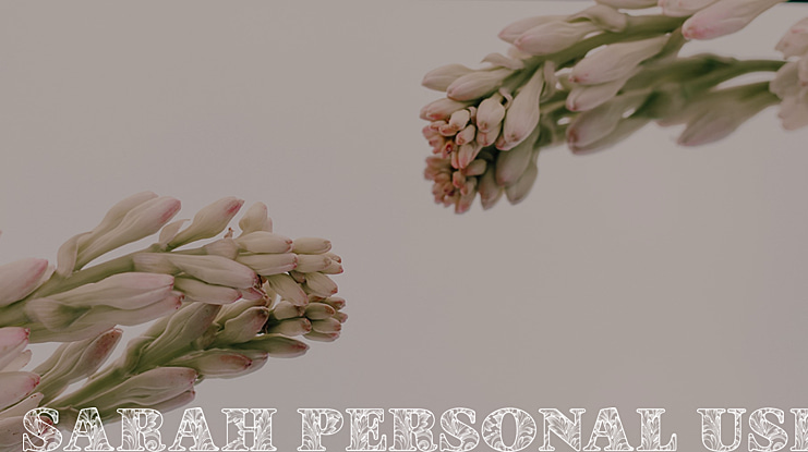 SARAH PERSONAL USE Font Family