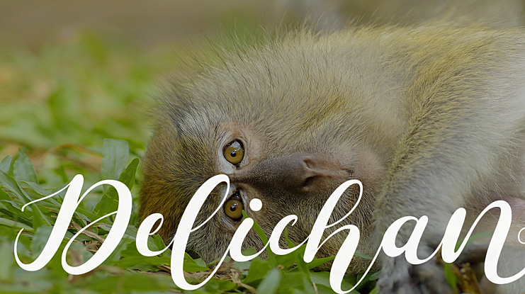 Delichan Font