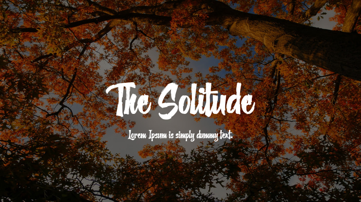The Solitude Font