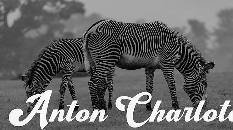 Anton Charlote Font