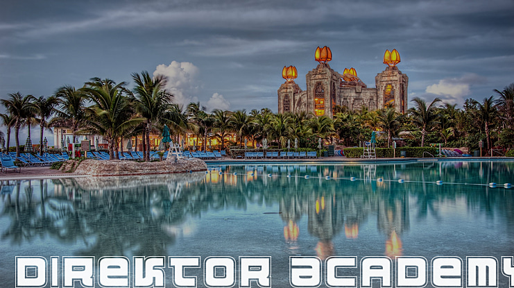 Direktor Font Family