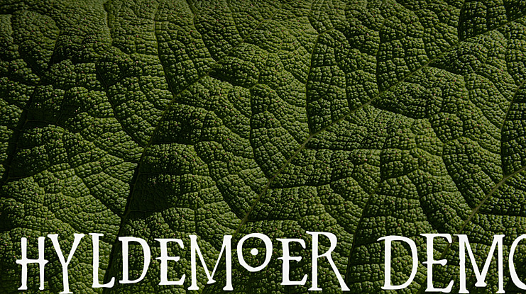 Hyldemoer DEMO Font
