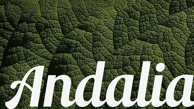 Andalia Font