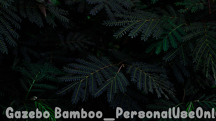Gazebo Bamboo_PersonalUseOnly Font