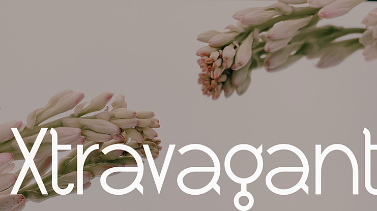 Xtravagant Font