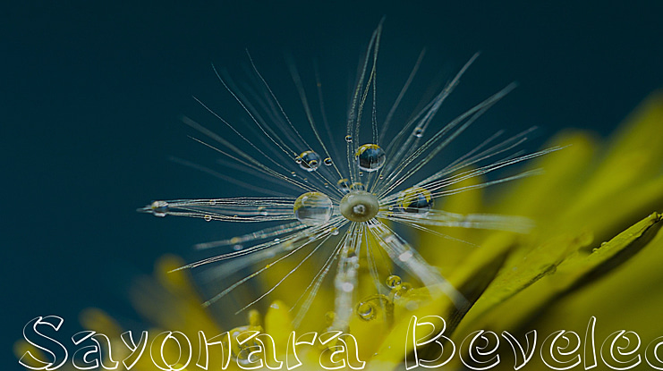 Sayonara Beveled Font Family