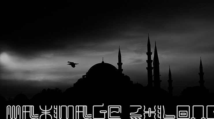 Maximage ZhiLong Font