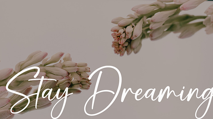 Stay Dreaming Font