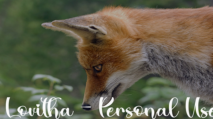 Lovitha - Personal Use Font