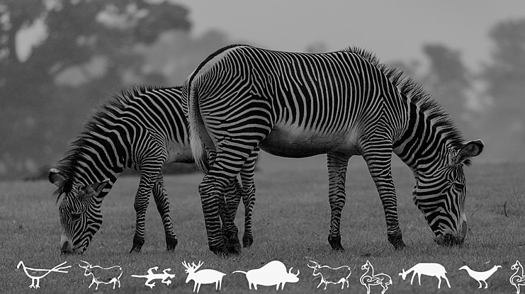 CavePaintingDingbats Font