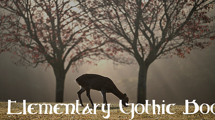 Elementary Gothic Bookhand Font