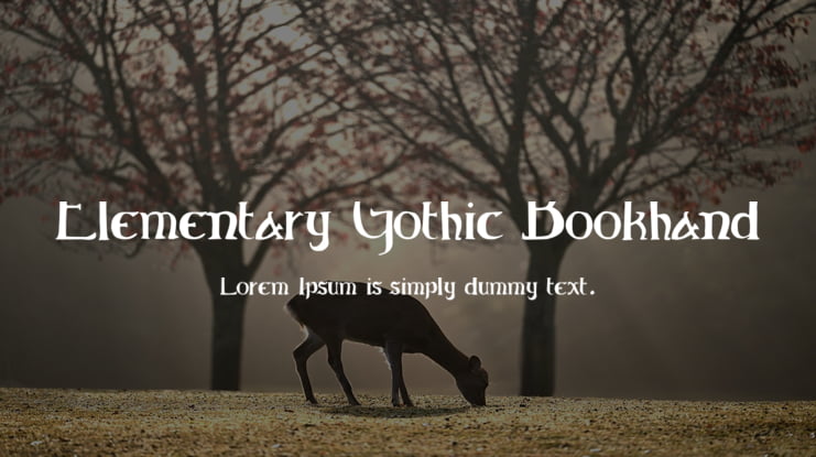 Elementary Gothic Bookhand Font