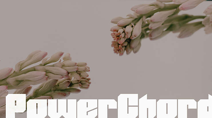 PowerChord Font Family
