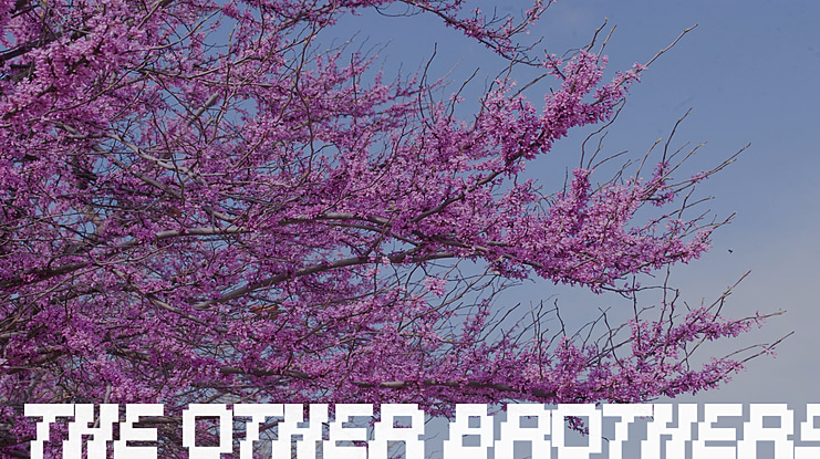 The Other Brothers Font