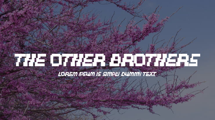 The Other Brothers Font