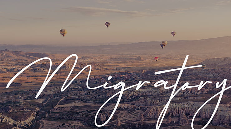 Migratory Font