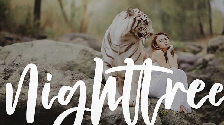Nighttree Font