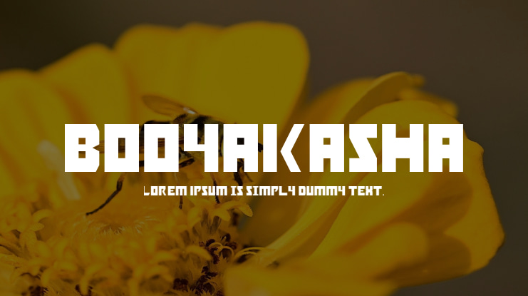 Booyakasha Font