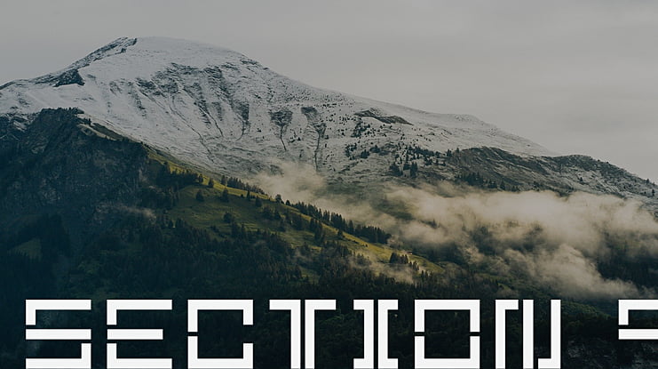 Section 9 Font Family