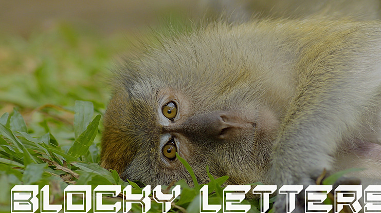 Blocky Letters Font Family