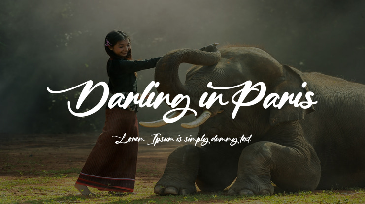 Darling in Paris Font