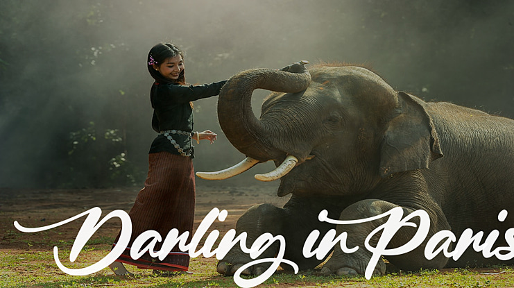 Darling in Paris Font