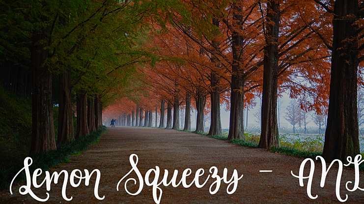 Lemon Squeezy - AND Font