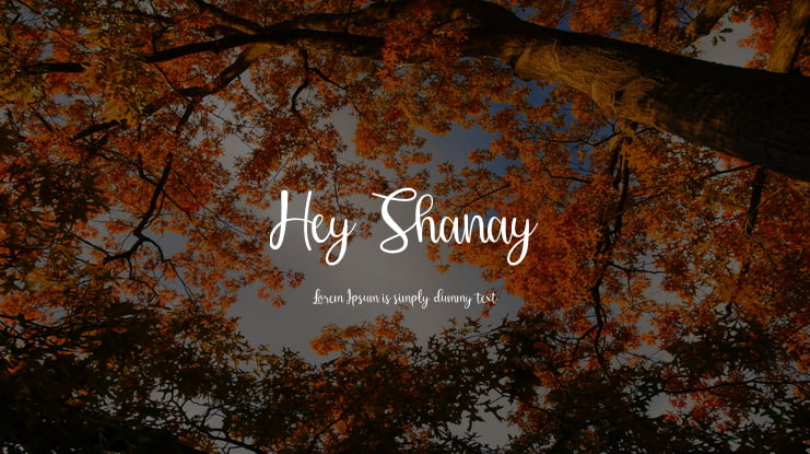 Hey Shanay Font