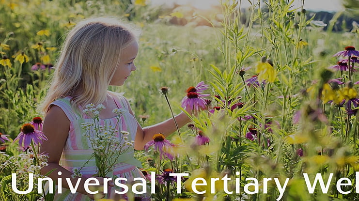Universal Tertiary Web Font Family