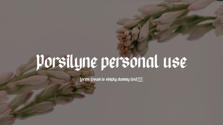 Porsilyne personal use Font