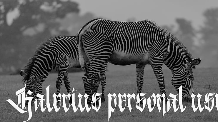 Kalecius personal use Font