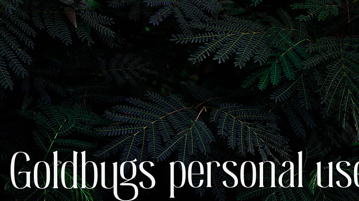 Goldbugs personal use Font