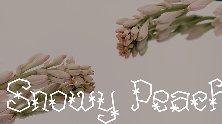 Snowy Peach Font