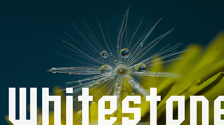 Whitestone Font Family