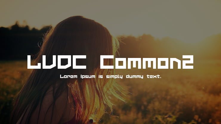 LVDC Common2 Font