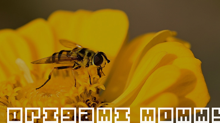 Origami Mommy Font Family