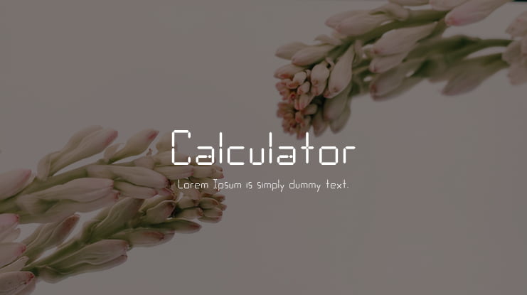 Calculator Font