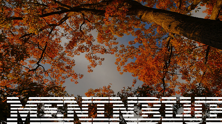MeninBlue Font