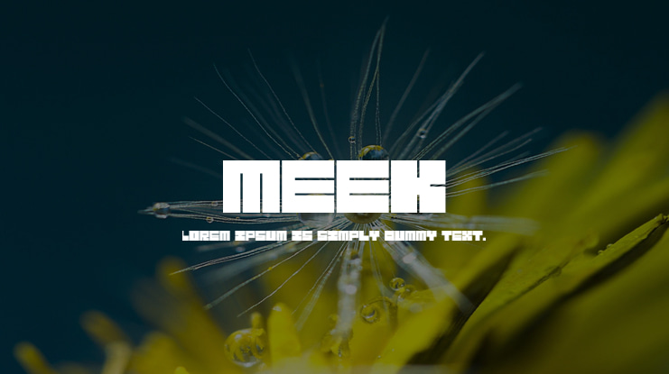 Meek Font