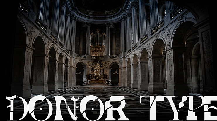 Donor Type Font