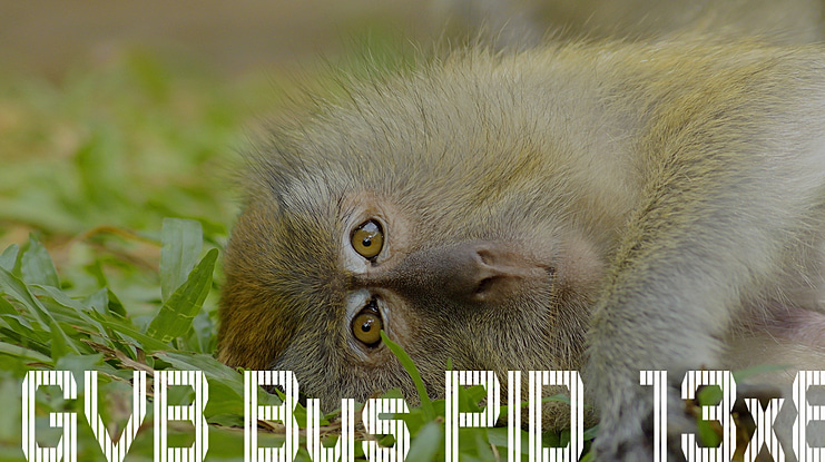 GVB Bus PID 13x8 Font