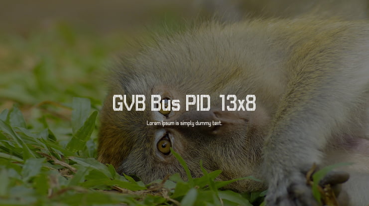 GVB Bus PID 13x8 Font