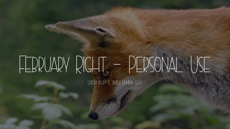 February Right - Personal Use Font