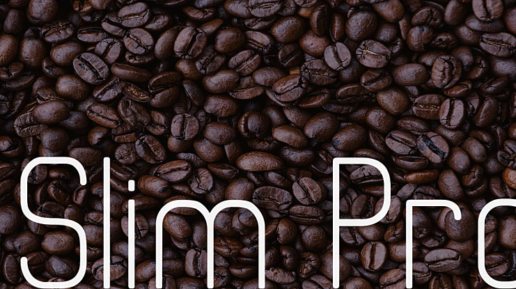 Slim Pro Font