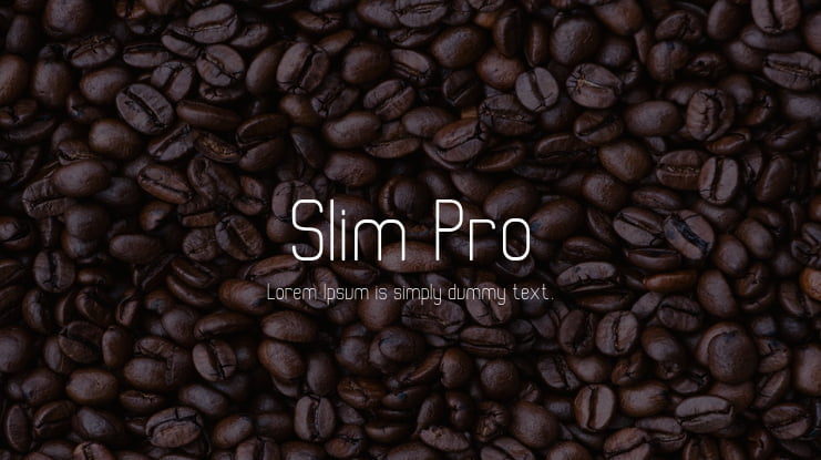 Slim Pro Font