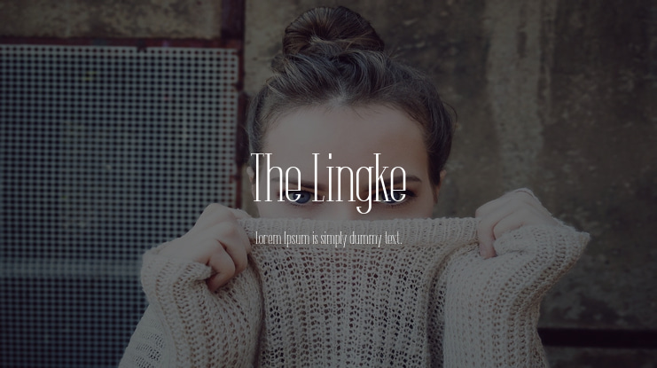 The Lingke Font