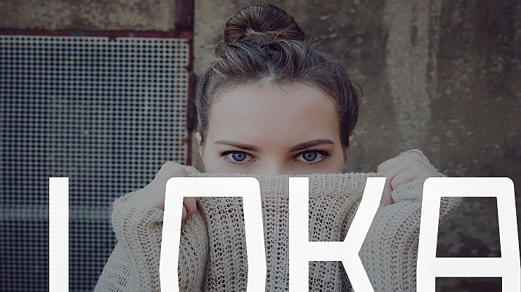 Loka Font