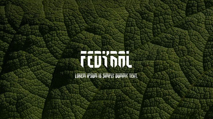 Fedyral Font Family
